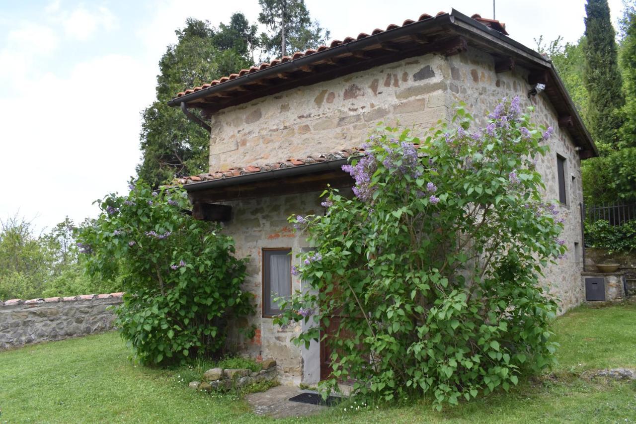 Castelfranco di SopraFattoria Il Praticino - Metato别墅 外观 照片