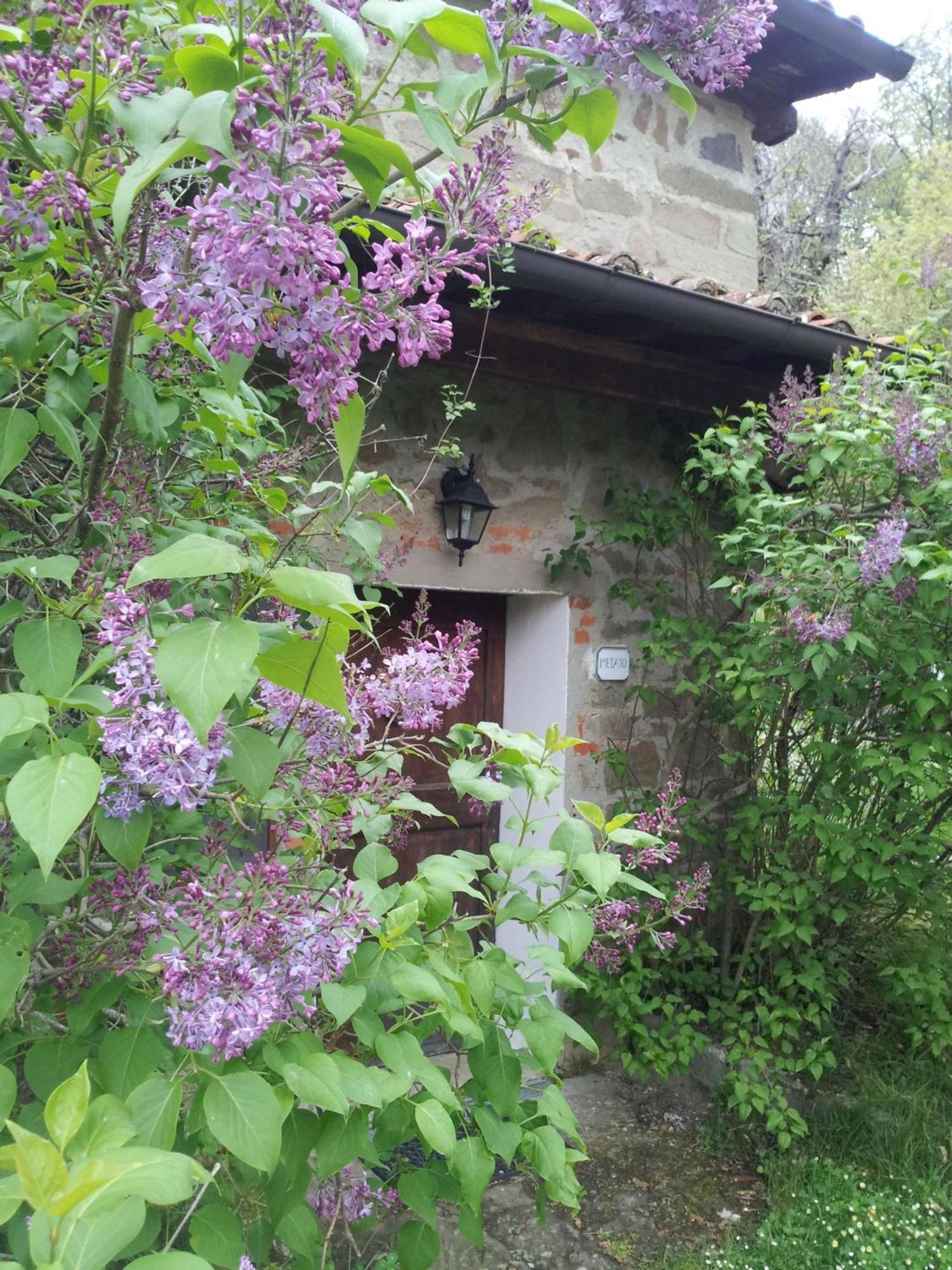 Castelfranco di SopraFattoria Il Praticino - Metato别墅 外观 照片